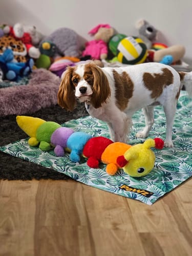 Customer photo review of PaWz Dog Summer Cooling Mat