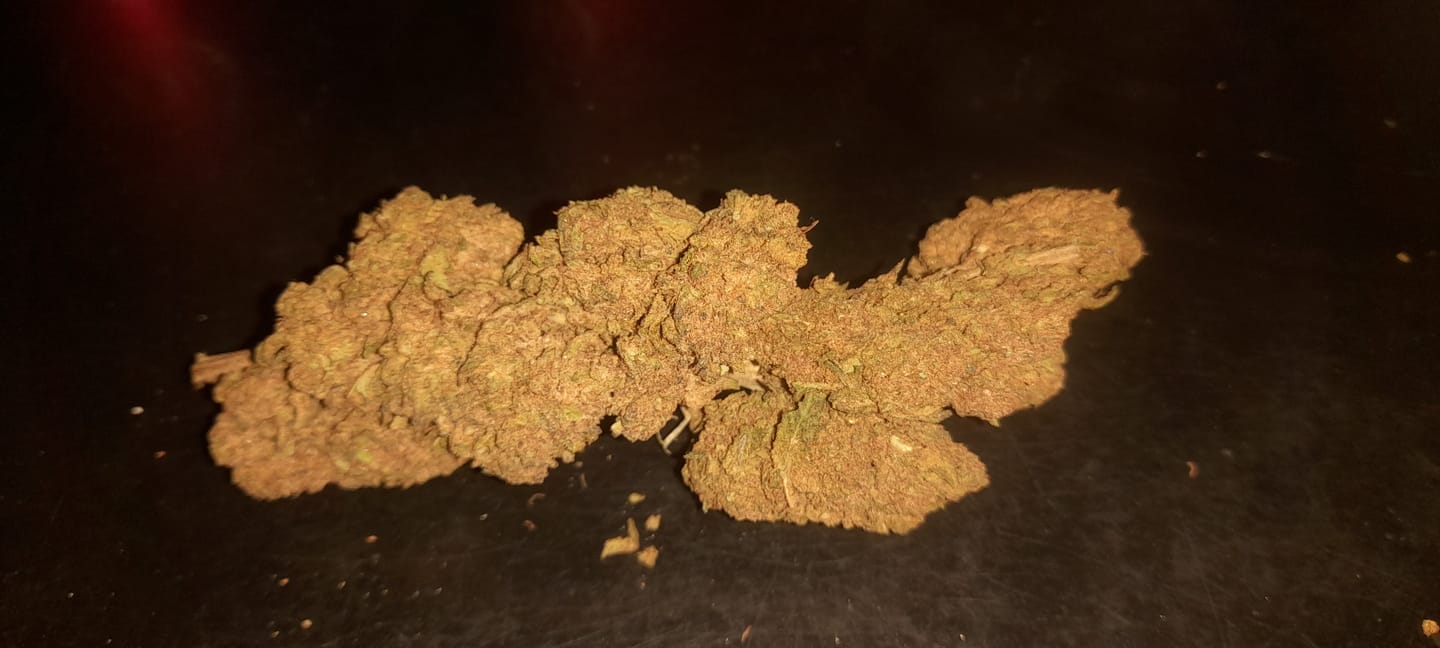 Customer photo review of Fleurs THX - Gorilla cookies indoor 18%
