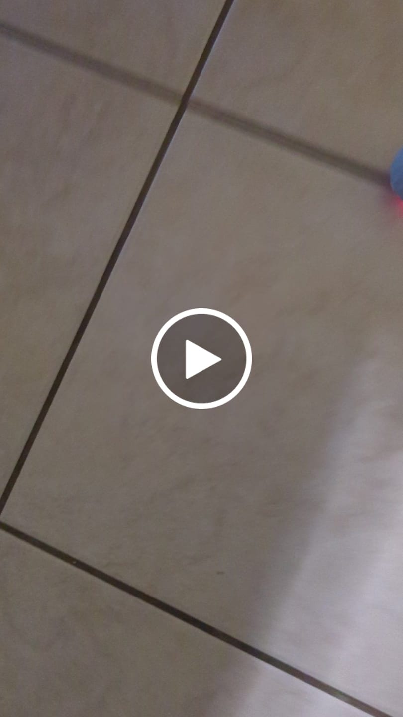 Customer video review of POWER BALL 2.0