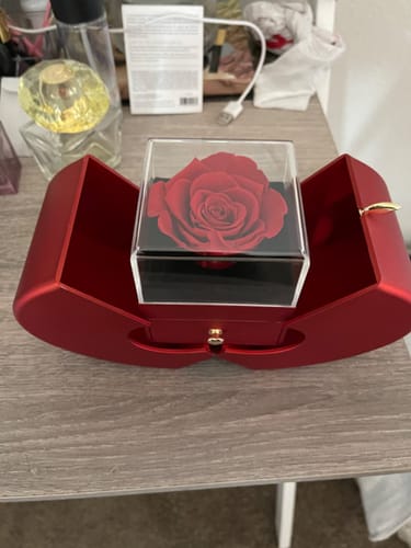 Customer photo review of 3 in 1 Preserved Eternal Rose Jewelry Box With Necklace