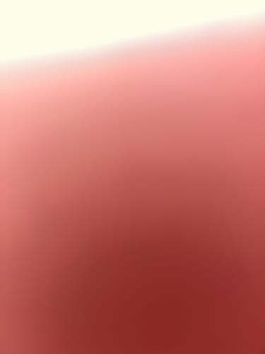 Customer photo review of Hellstar Studios Human Developement T-shirt