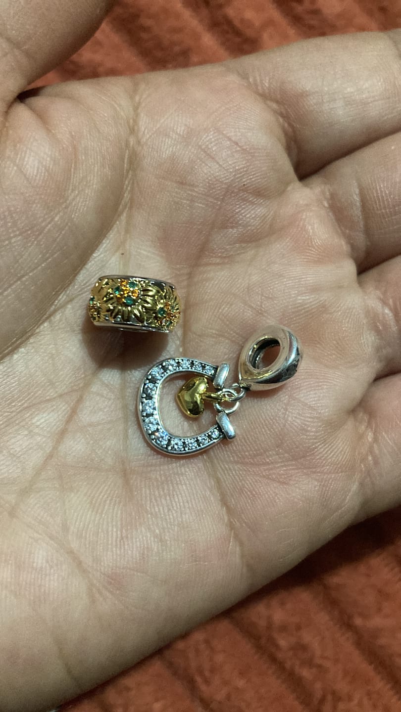 Customer photo review of Charm Herradura & Corazon Dorado