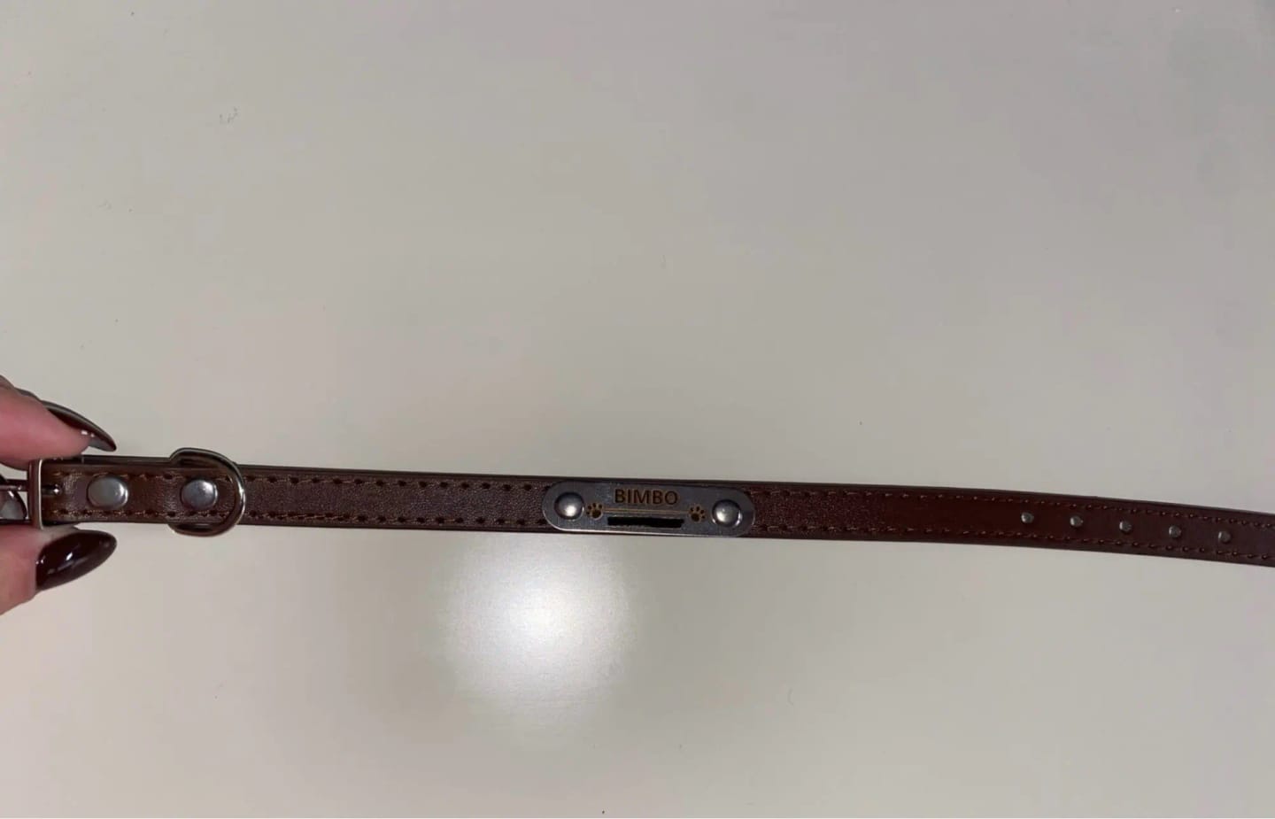 Customer photo review of Personalized PU Leather Pet Collar with Carved Name ID and Anti-Lost Feature - For Dogs and Cats