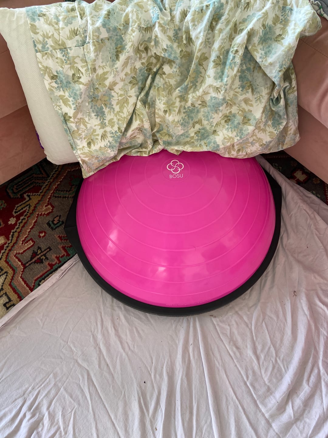 Customer photo review of BOSU® Home Balance Trainer