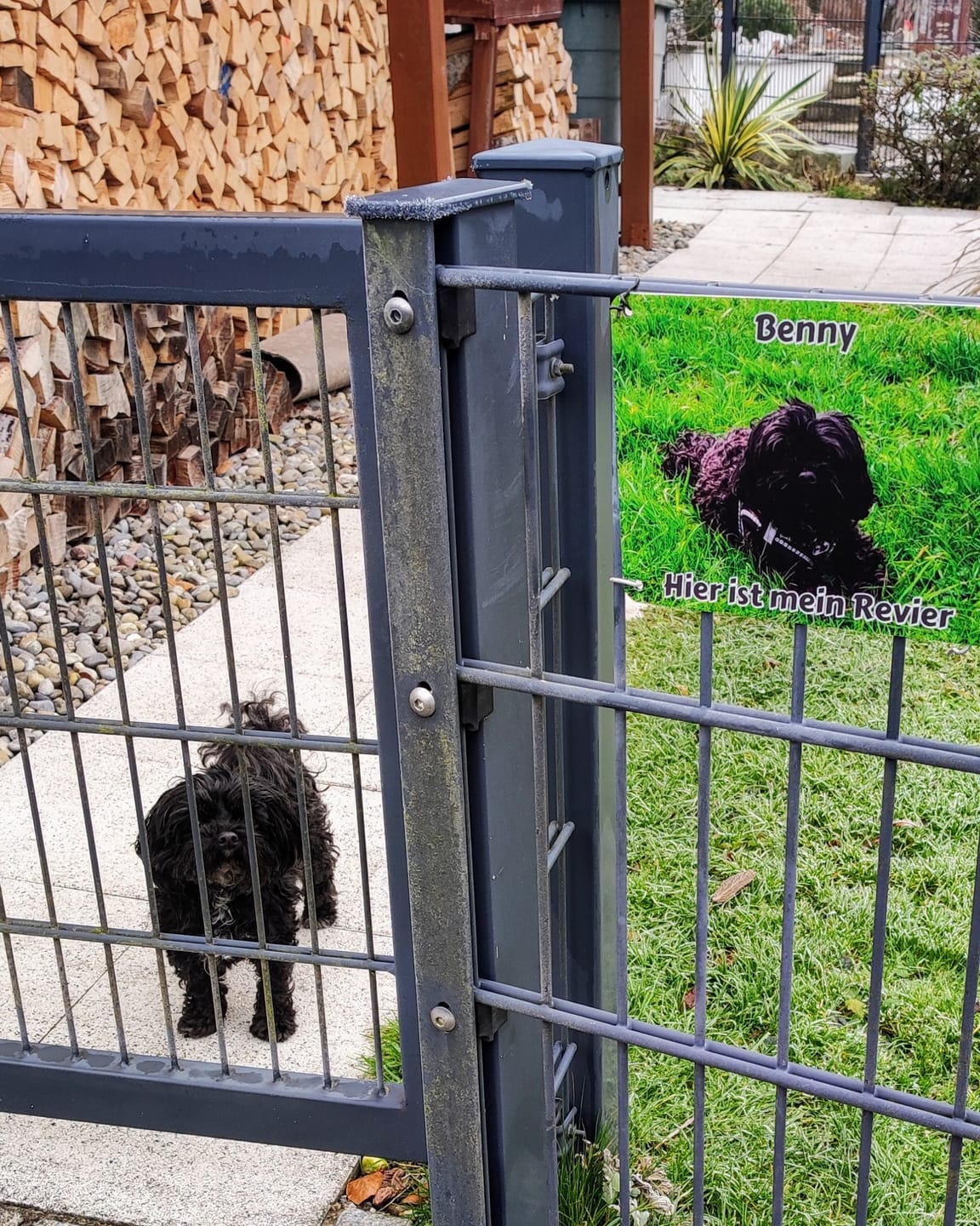 Customer photo review of Hunde-Türschild mit Foto & Wunschtext (UV- UND WETTERFEST) - Angebot beim Kauf eines 2. Schildes