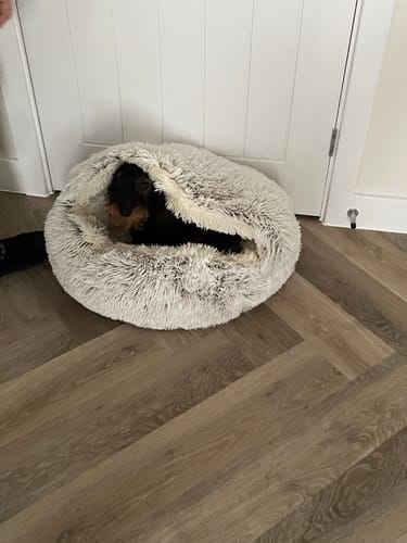 Customer photo review of Burrow Buddy™ - Pet Bed