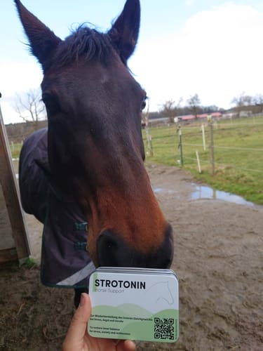 Customer photo review of Strotonin Horse Support