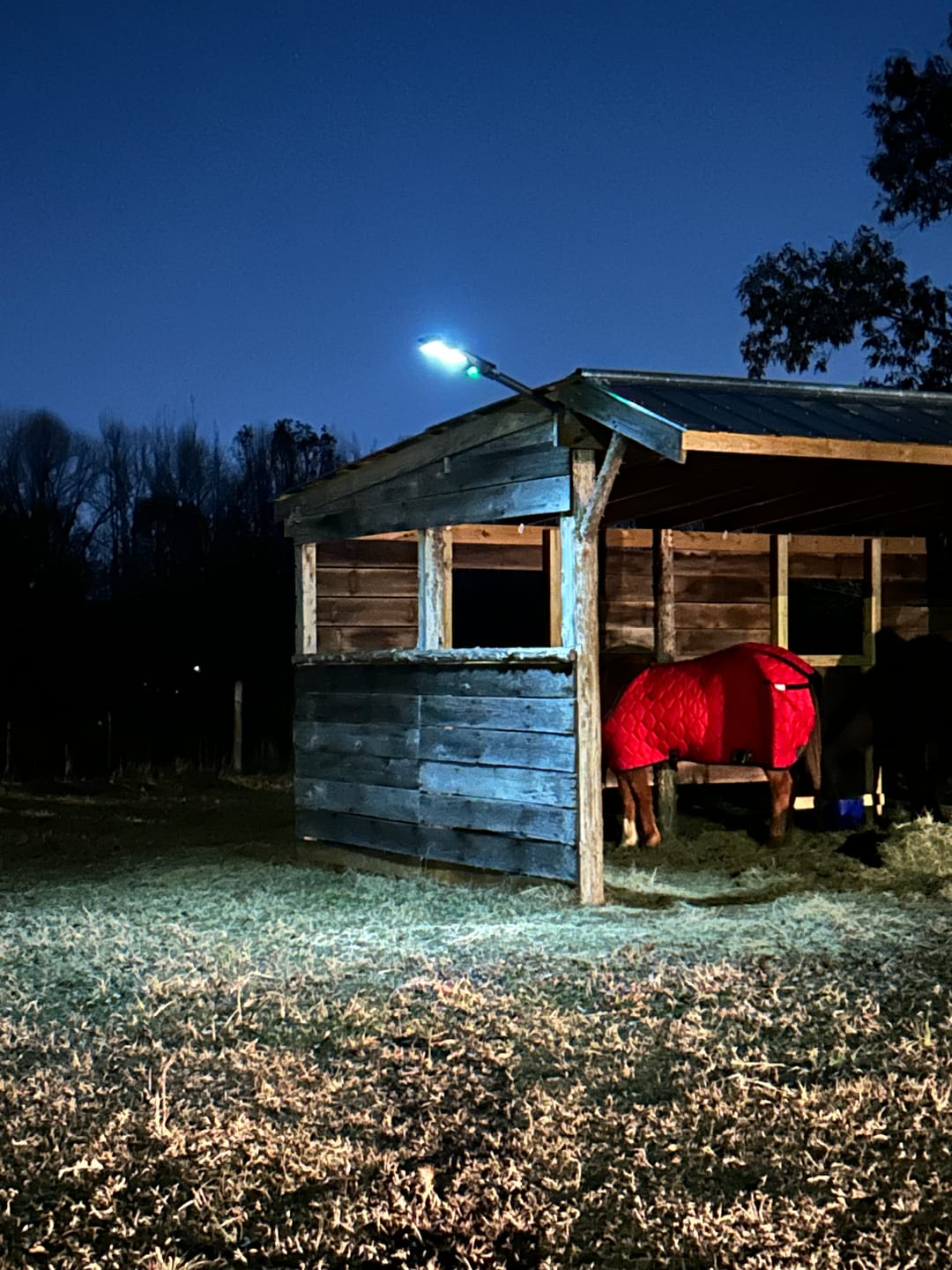 Customer photo review of 60W Solar Street Light 6000 Lumens