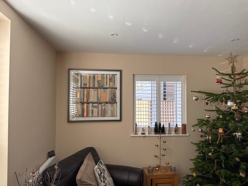 Customer photo review of The Library By Sabrina Roscino