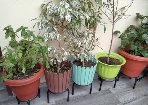 Customer photo review of UnitedCrafts Trivia Metal Pot Stand High Quality & Unique Design