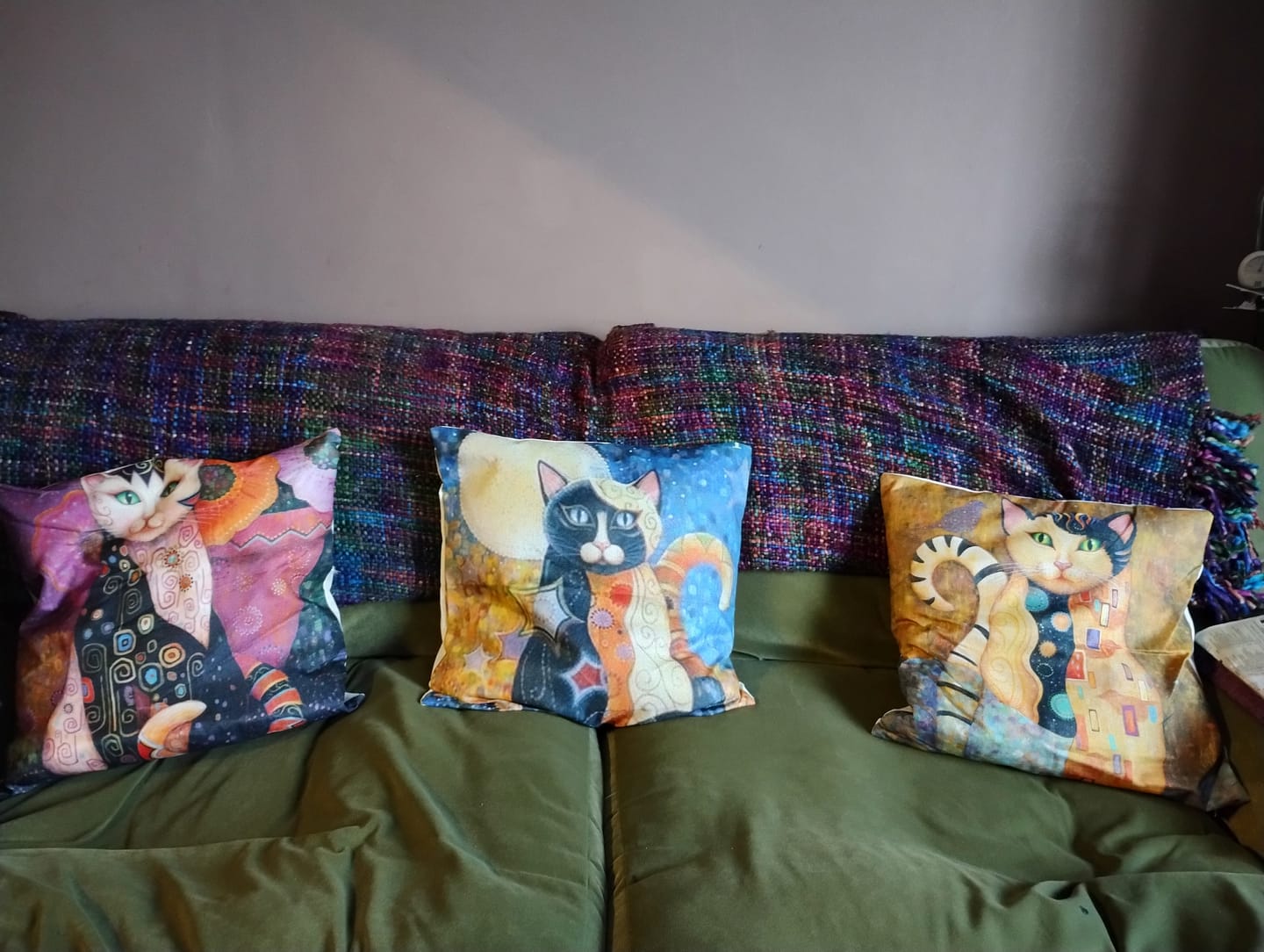 Customer photo review of Printed Cartoon Fashion Vintage Sofa Cushion Pillow Pillowcase