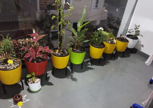 Customer photo review of UnitedCrafts Trivia Metal Pot Stand High Quality & Unique Design