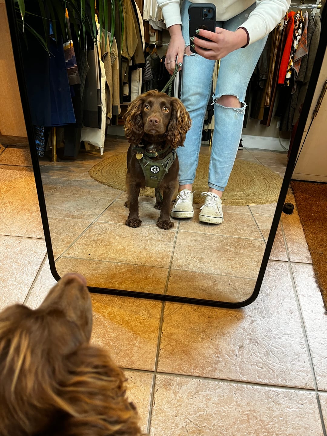 Customer photo review of Trail & Glow® Dog Harness - The Khaki One