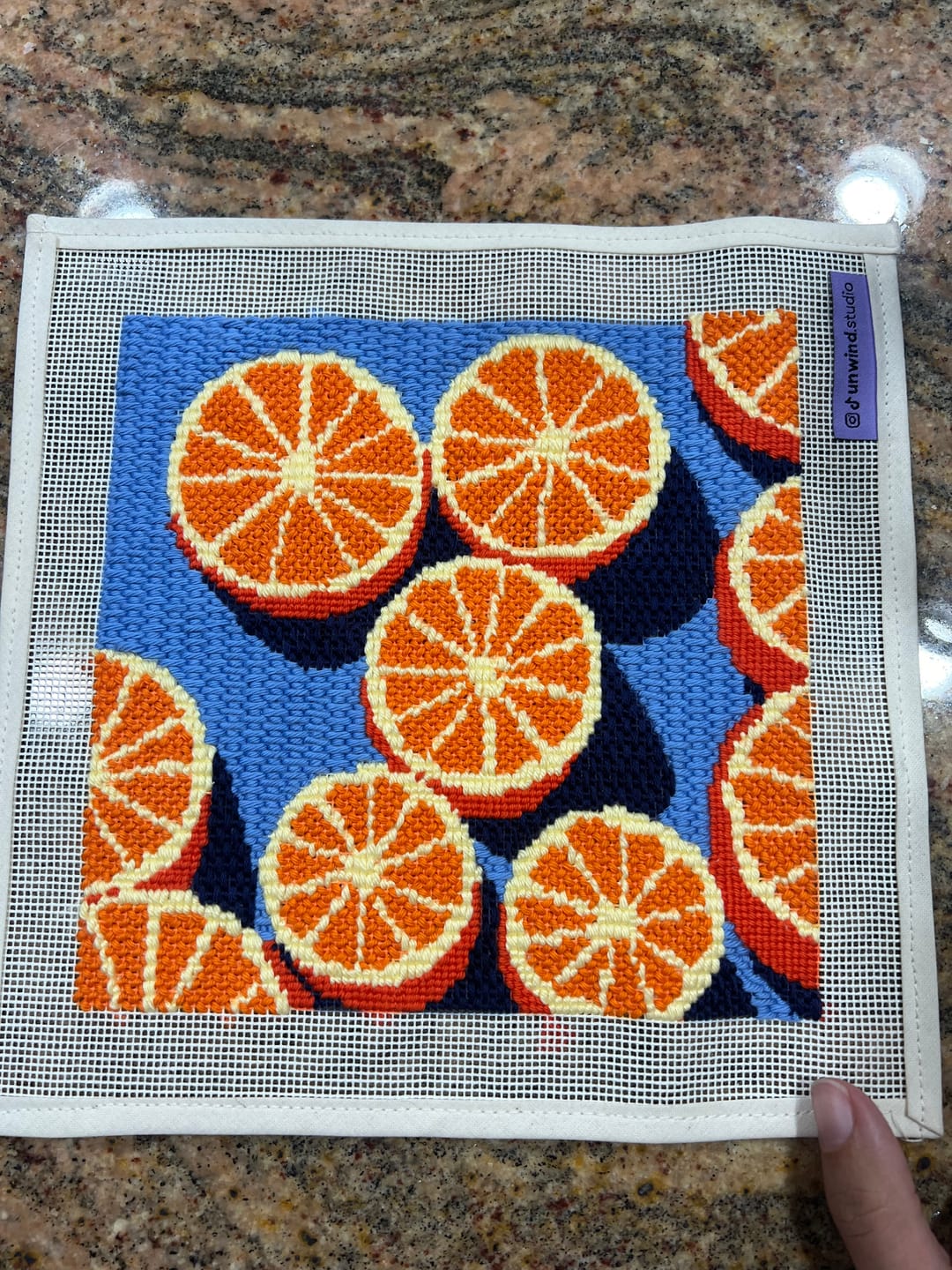 Customer photo review of Agrumes Needlepoint Kit