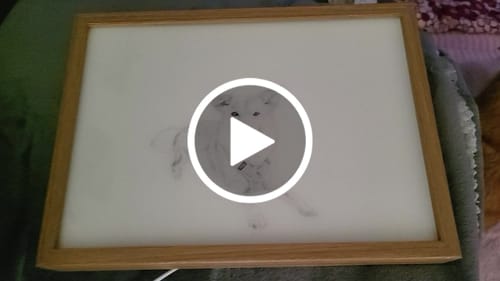 Customer video review of Custom LED Light Up Painting Frame - Personalized Art Glowing Frame