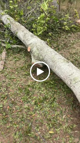 Customer video review of Arbo Space PLAID 5/8" (16mm) Bull Rope