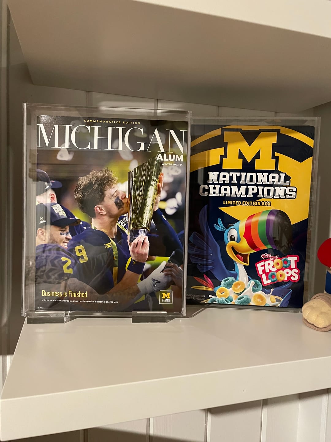 Customer photo review of Acrylic Book Display Cases