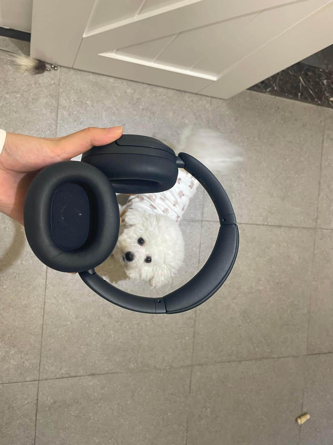 Customer photo review of V80 Hybrid Active Noise Cancelling Headphones