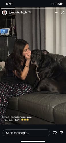 Customer photo review of PUPVOTE: 2025 Cutest Pet Calendar (Official Edition)
