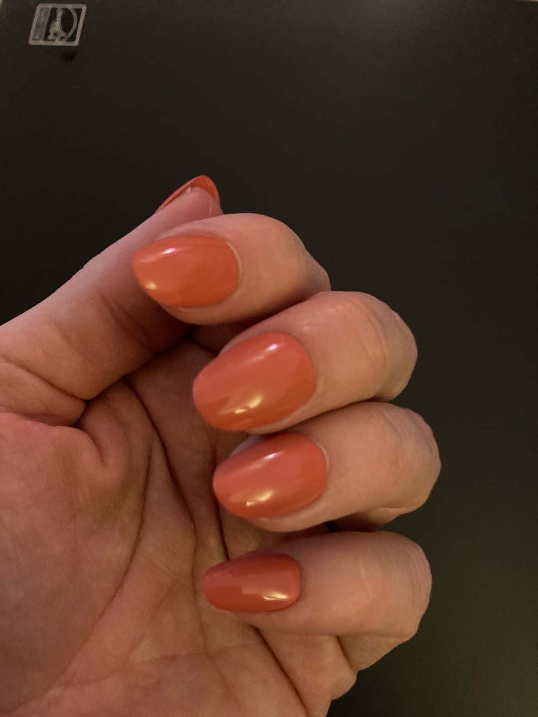 Customer photo review of FAUX ONGLES CORAILS ARRONDIS COURTS