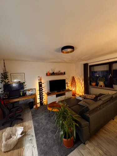 Customer photo review of Treibholz Stehlampe CACTUS