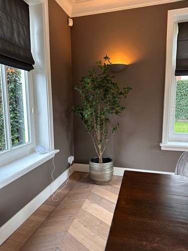 Customer photo review of Ficus Kunstplant 180cm