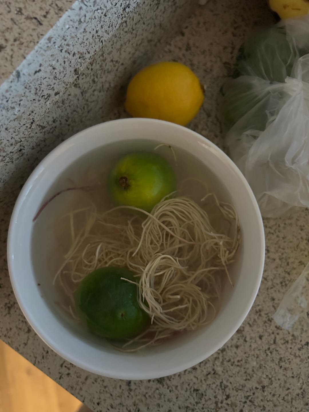 Customer photo review of RAW SEA MOSS