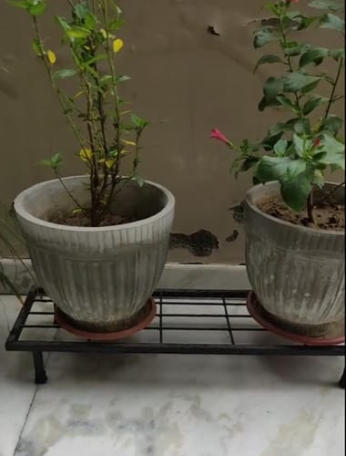 Customer photo review of United Crafts Classy Gamla Pot Stand High-Quality