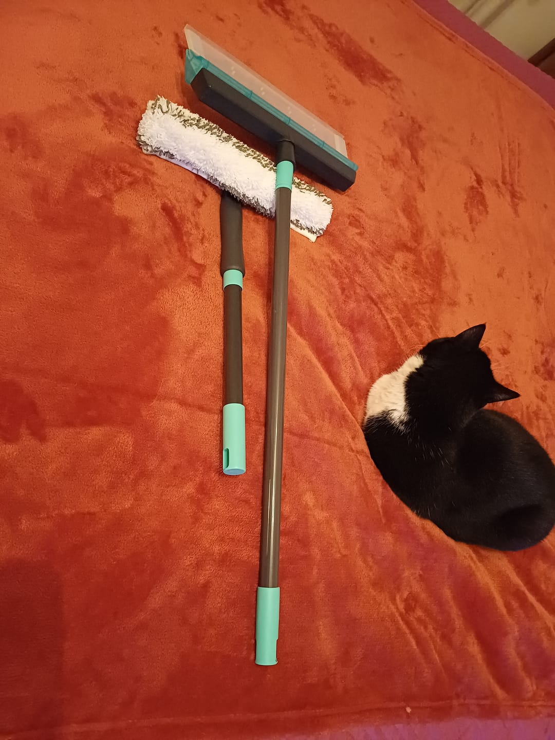 Customer photo review of Lavavetri in silicone SMART con Vaschetta Raccogli Acqua integrata, Pulisci i Vetri senza striature, Vetri senza aloni, Lavavetri professionale di alta qualità