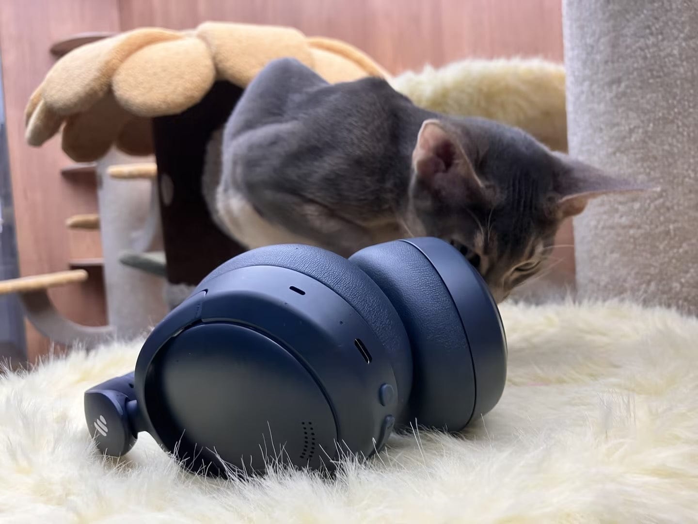 Customer photo review of V80 Hybrid Active Noise Cancelling Headphones