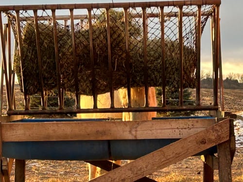 Customer photo review of Hay Chix® Do It Yourself Net