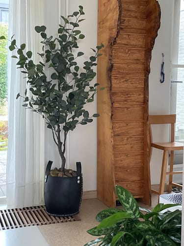 Customer photo review of Eucalyptus Kunstboom 140cm