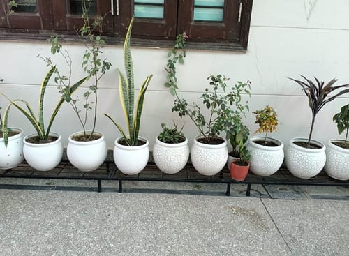 Customer photo review of United Crafts Classy Gamla Pot Stand High-Quality