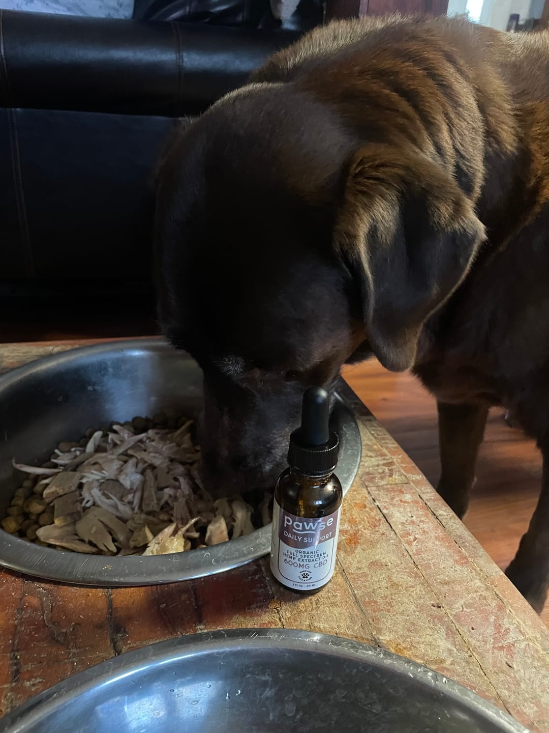 Customer photo review of Daily Support CBD Oil for Pets Over 20lbs