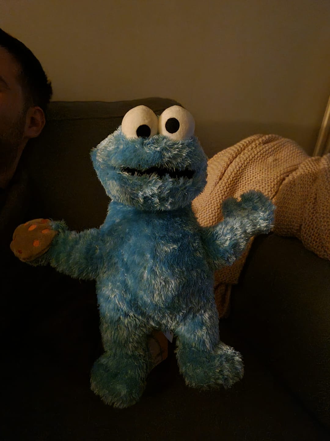 Customer photo review of Cookie Monster Marionnette Sesame Street