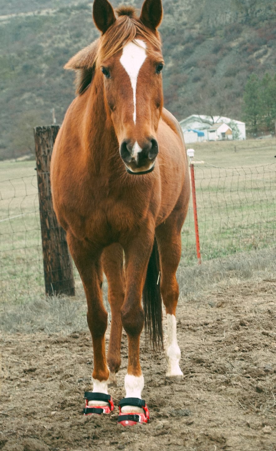 Customer photo review of Renegade® Classic - Dragon Fire Red