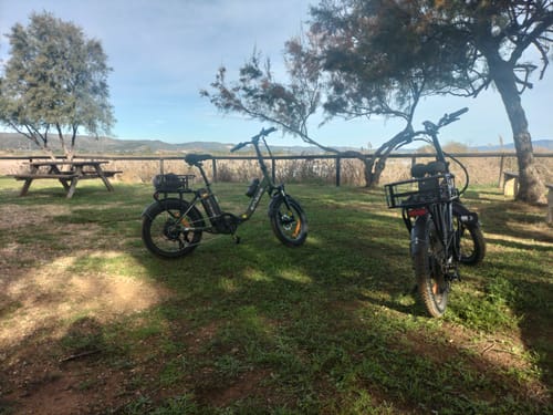Customer photo review of Engwe L20 SE 250W 20" Foldable Electric Trekking Bike 15.6Ah Step-through E-bike
