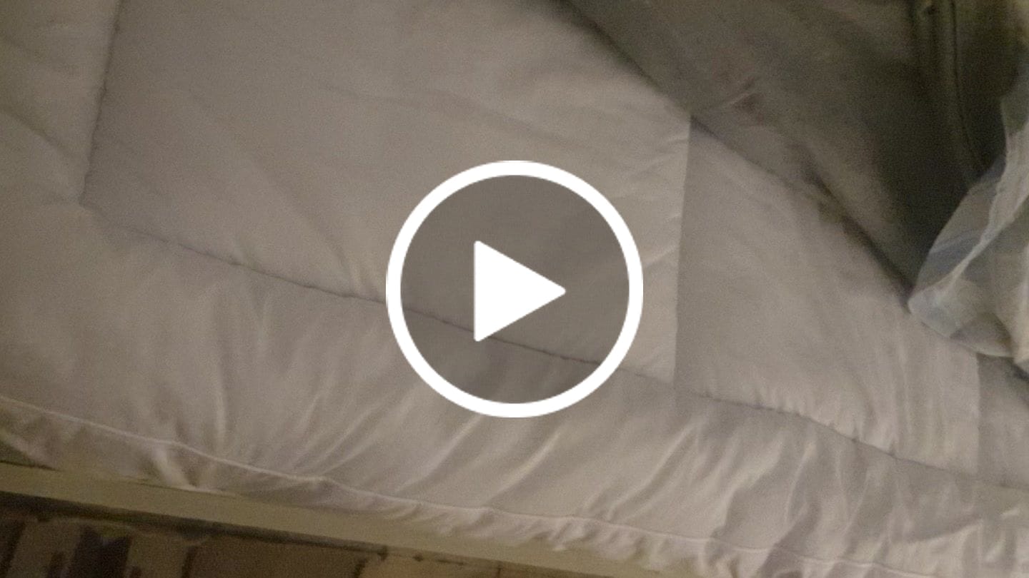 Customer video review of Fiber Topper Mattress