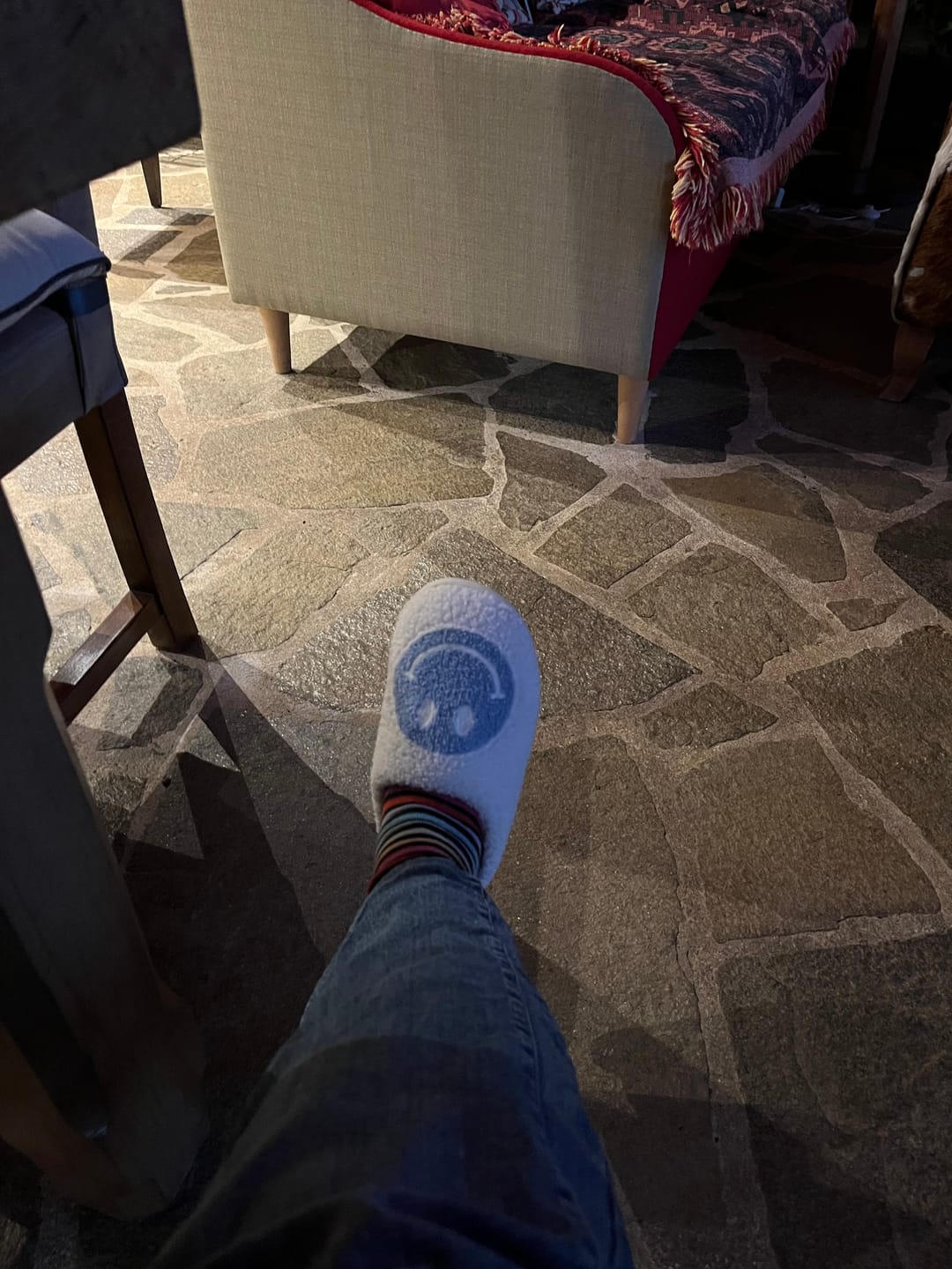 Customer photo review of Boston Terrier Slippers