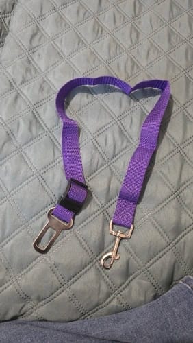 Customer photo review of Vehicle Safety Belt for Pets - Adjustable Harness with Lead Clip for Dogs and Cats