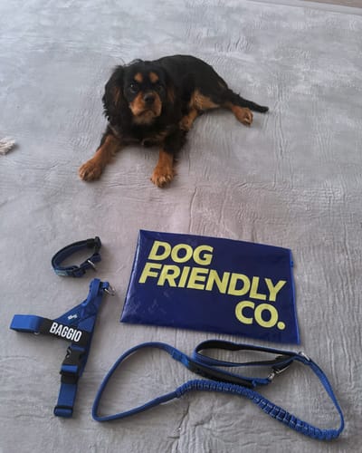Customer photo review of Custom Name Patches
