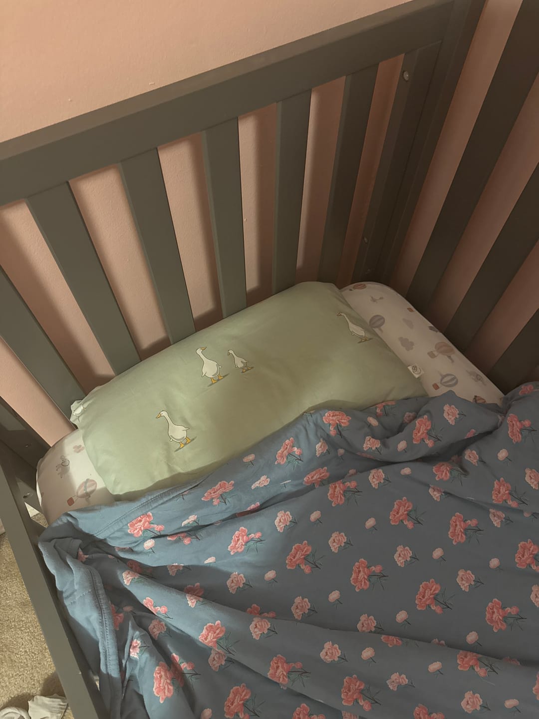 Customer photo review of Ecolino® Pillowcases, 100% Organic Cotton, 2 Pack, Goose