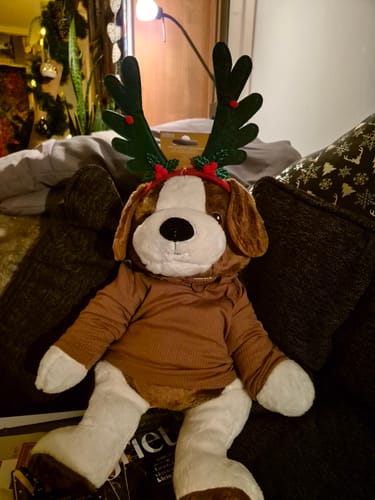 Customer photo review of Lotgenootje Hond 2kg