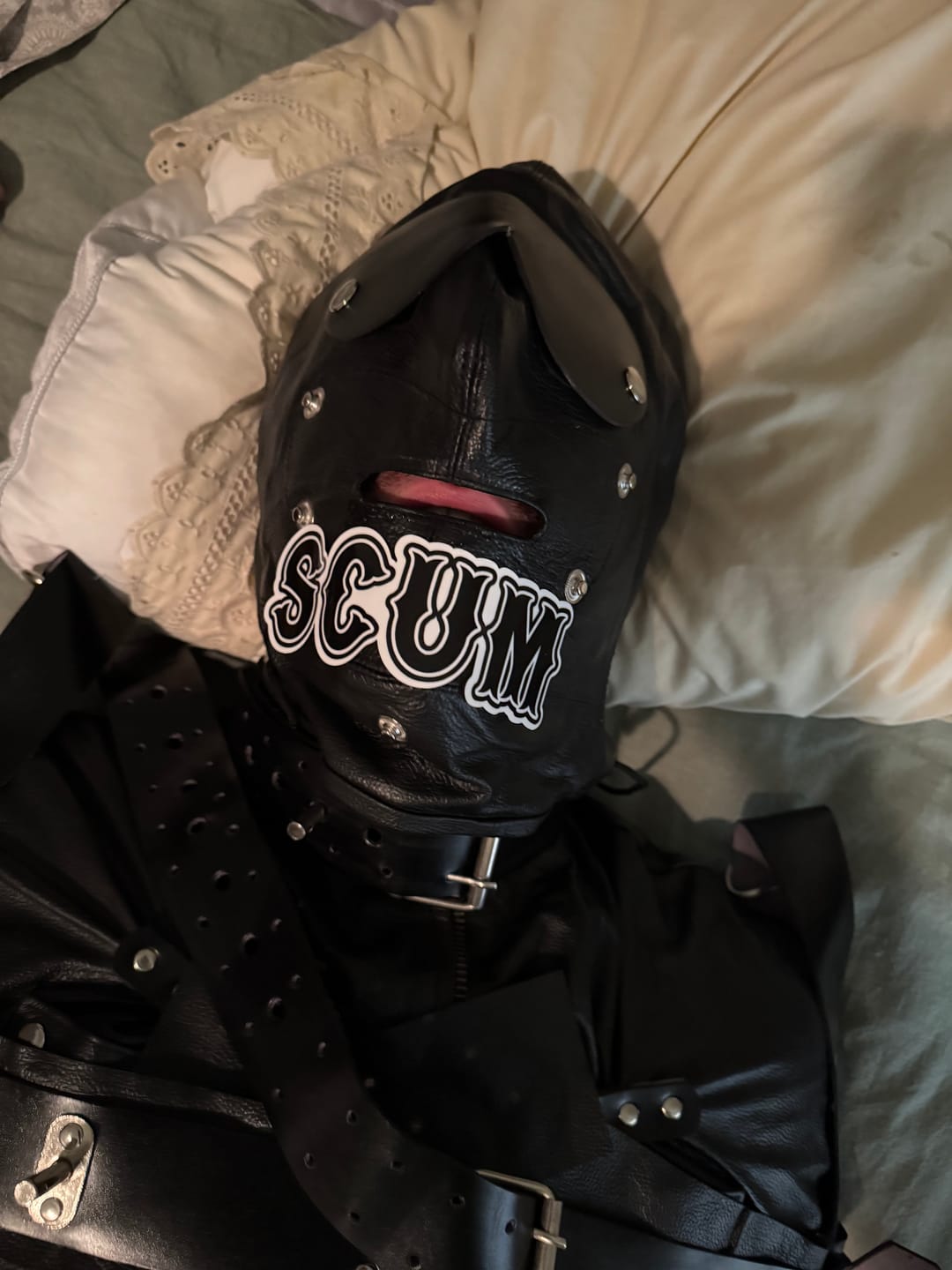Customer photo review of SCUM STICKER