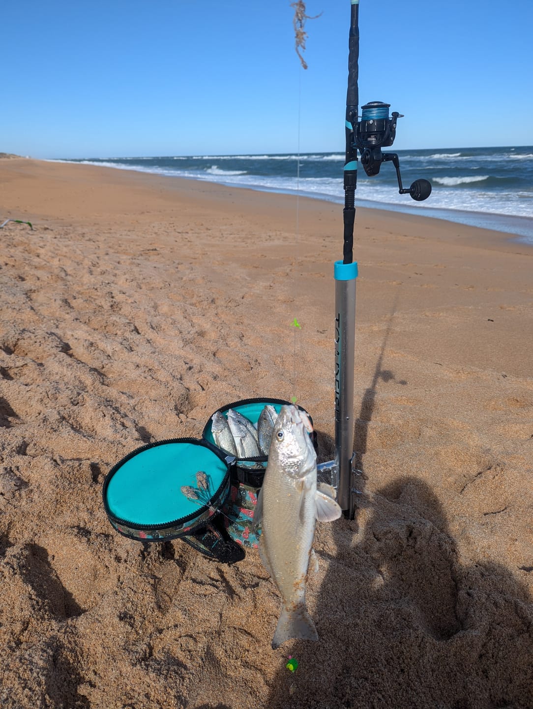 Customer photo review of Carbon Elite Nearshore Spinning Reels
