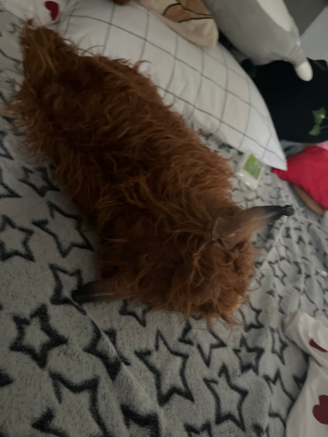 Customer photo review of Highland Cow Tier Familie Plüschtier-Set