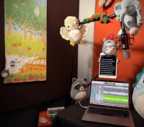 Customer photo review of Mini K87 Condenser Microphone