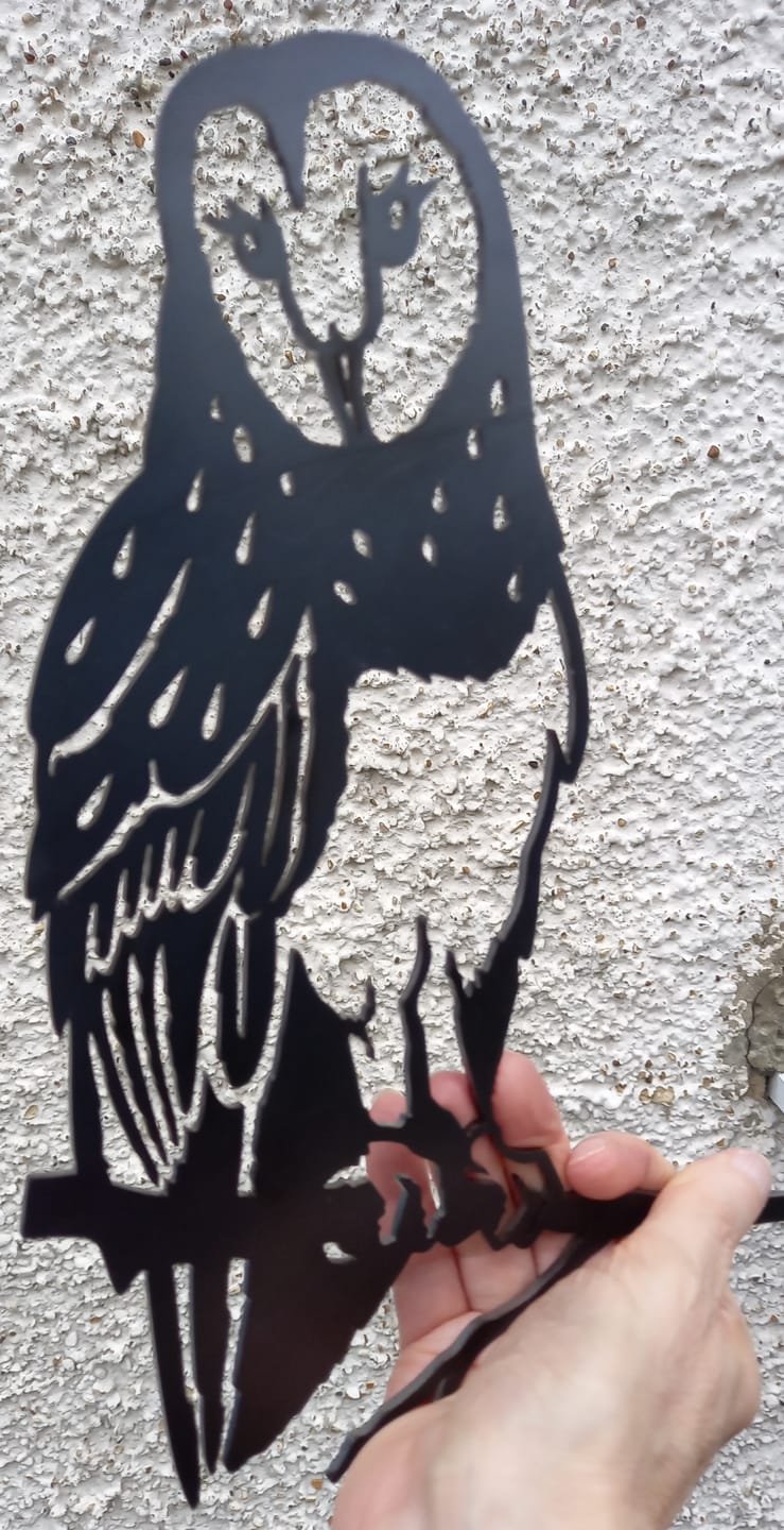Customer photo review of Metalbird Seconds