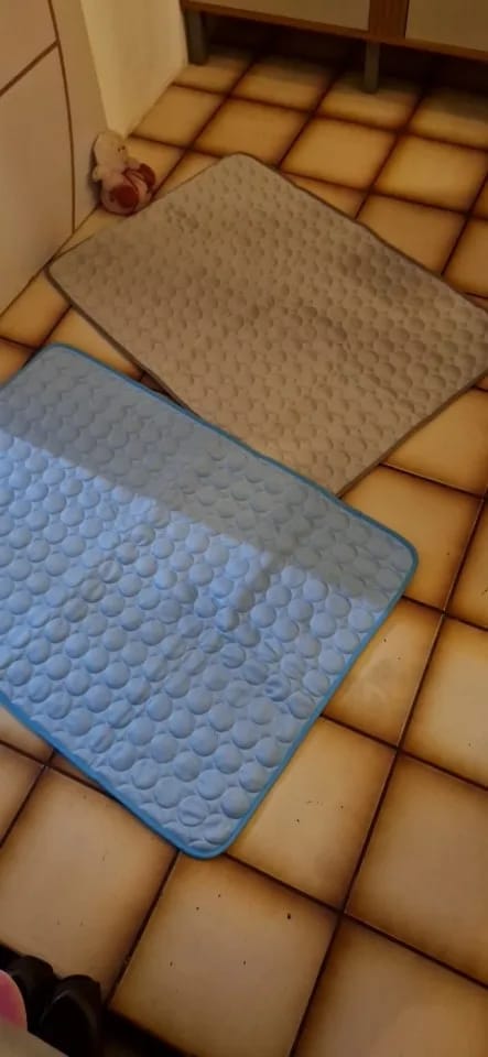 Customer photo review of Summer Cooling Mat for Pets - Extra Large Durable Cold Bed, Ice Pad, and Blanket for Dogs and Cats