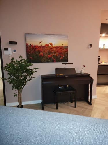 Customer photo review of Kunst Ficus 130cm